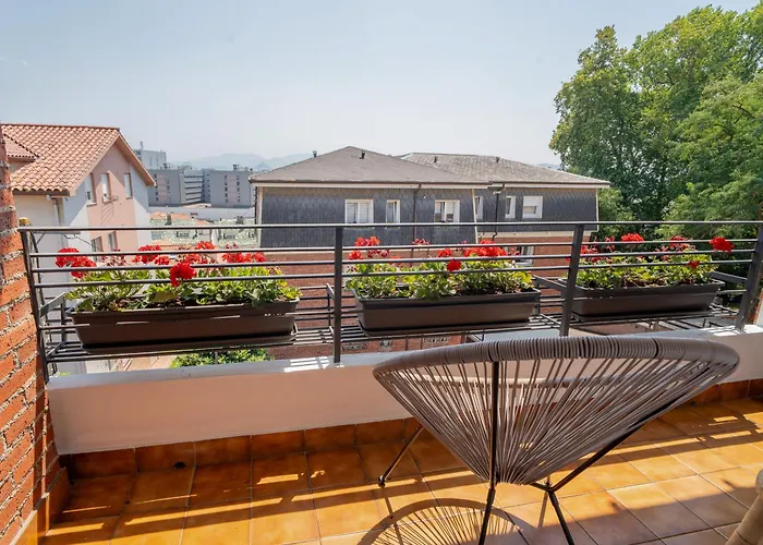 Oliva 3000 Santander